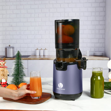 900 Slow Masticating Juicer